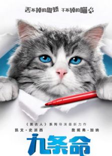 �����������