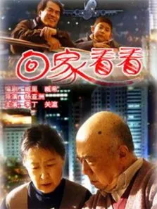 回家看看电影海报