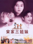 宋家皇朝电影海报