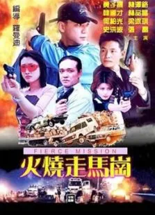 火烧走马岗电影海报