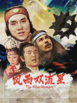 风雨双流星电影海报