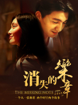 消失的乐章电影海报