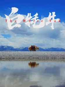 白牦牛电影海报