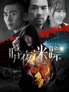 暗夜迷踪电影海报