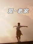 爱老家电影海报
