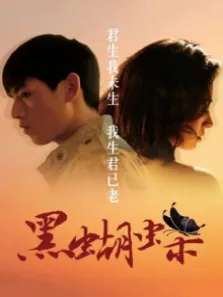 黑蝴蝶电影海报
