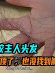 狗狗天天咬主人头发，女人都快秃顶了，也没找到解决办法电影海报