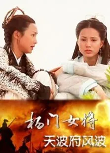 杨门女将天波府风波电影海报