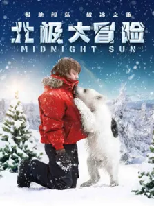 北极大冒险（国语）电影海报