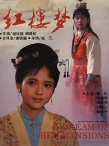 红楼梦1（上）电影海报