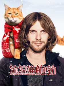 流浪猫鲍勃电影海报