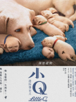 小Q粤语版电影海报