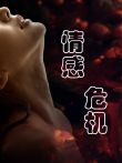 情感危机电影海报
