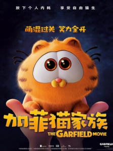 �ӷ�è���� ��ͨ����