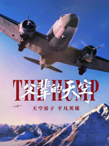 父辈的天空电影海报