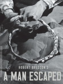 ����Խ�� 