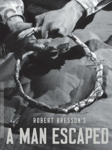 ����Խ��