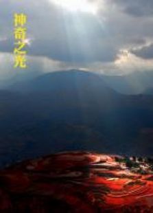 ����֮��