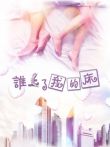 谁上了我的床电影海报