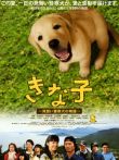 实习警犬物语电影海报