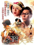 落难夫妻电影海报