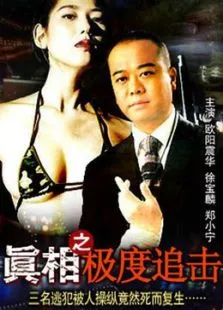 真相之极度追击电影海报