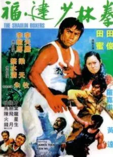 福建少林拳电影海报
