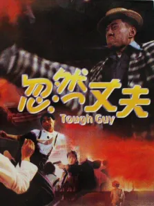 忽然丈夫（粤语）电影海报