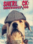 侠肝义犬电影海报