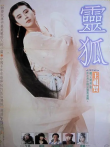 灵狐电影海报