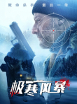 极寒风暴电影海报
