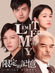 限定的记忆电影海报