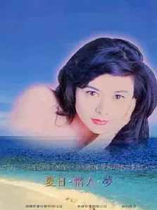 夏日情人梦电影海报