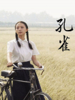 孔雀电影海报