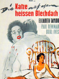 ����Ƥ�ݶ��ϵ�è