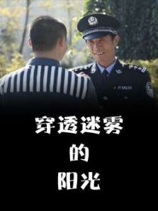 ��͸����������