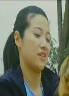 叠影追凶电影海报