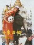 小象西纳电影海报