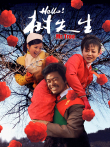 hello树先生电影海报