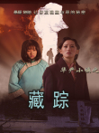 华严小镇之二藏踪电影海报