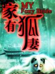 家有狐妻电影海报