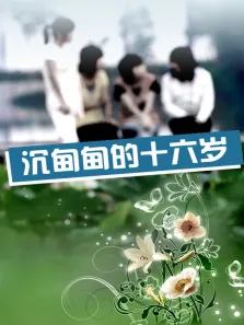沉甸甸的十六岁电影海报