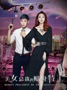 美女总裁的贴身特工电影海报