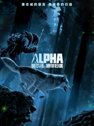 �������ǰ��;��ͨ��