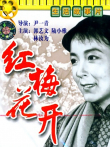 红梅花开电影海报