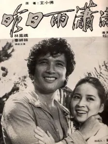 风雨情电影海报