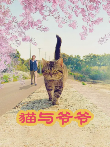 è��үү