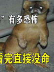 黄鼠狼死亡之舞有多恐怖，兔子看完直接没命，真这么邪乎电影海报