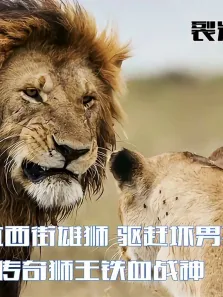 传奇狮王战斗的一生，对抗西街雄狮，驱赶坏男孩联盟电影海报