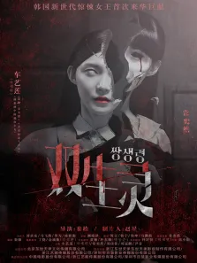 双生灵电影海报